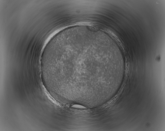 X0000116000808200912101315