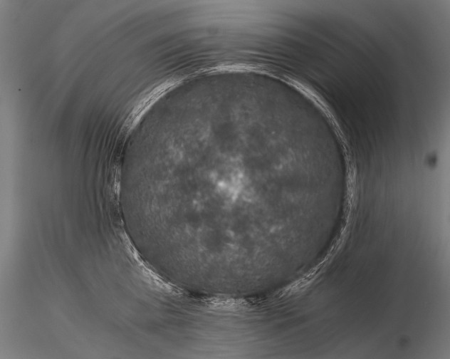 X0000116000809200912101315