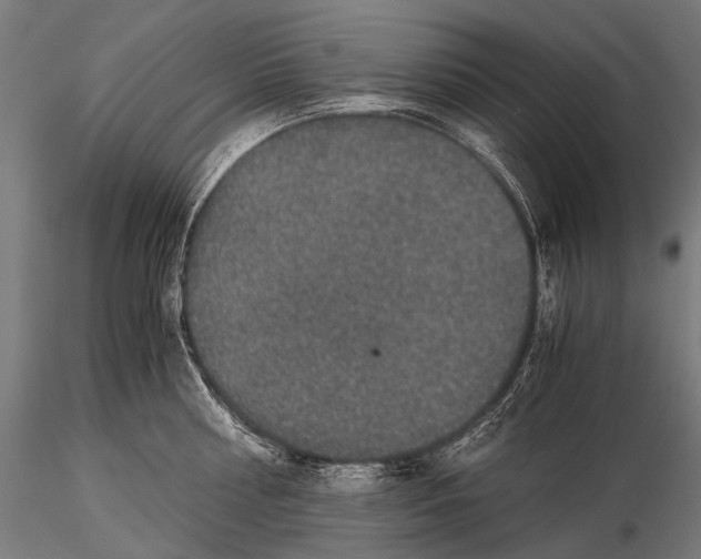 X0000116000810200912101315