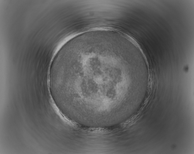 X0000116000811200912101315