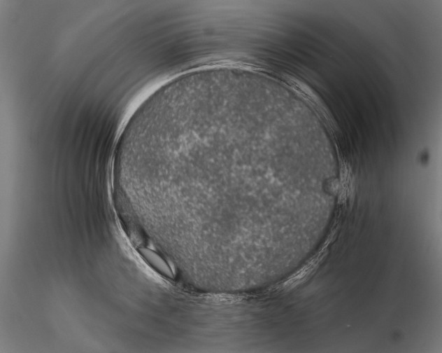 X0000116000812200912101315