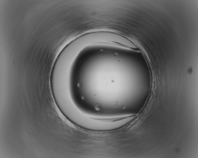 X0000116000813200912101315