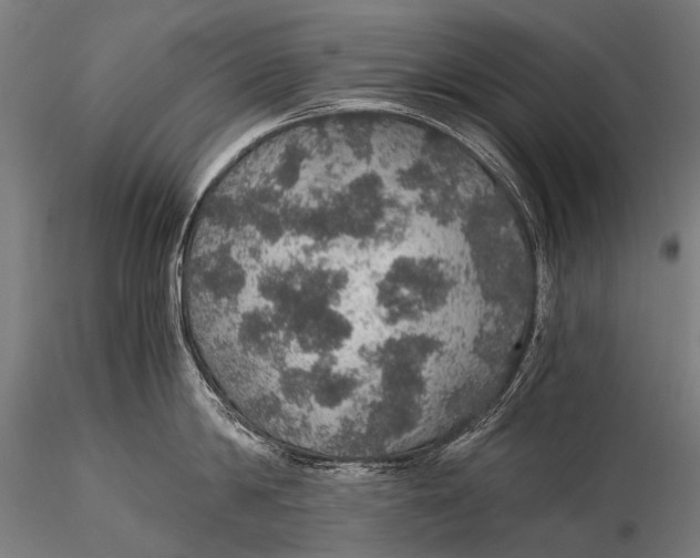 X0000116000814200912101315