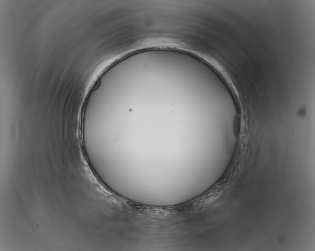 X0000116000815200912101315