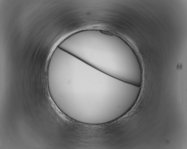 X0000116000816200912101315