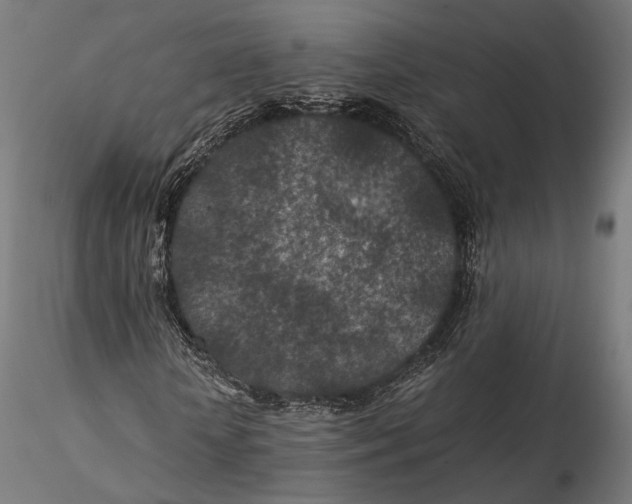 X0000116000818200912101314