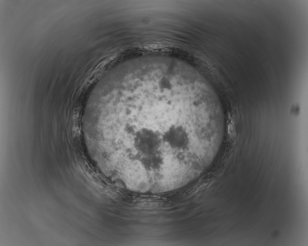 X0000116000819200912101314