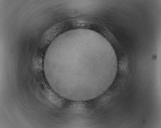 X0000116000820200912101314