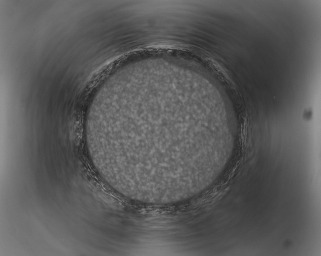 X0000116000821200912101314