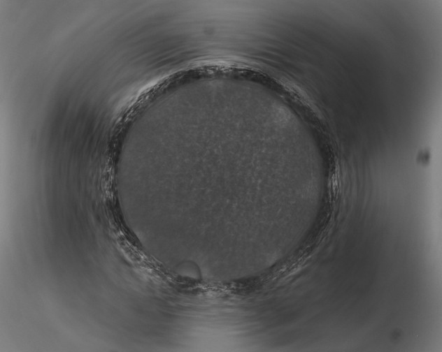 X0000116000822200912101314