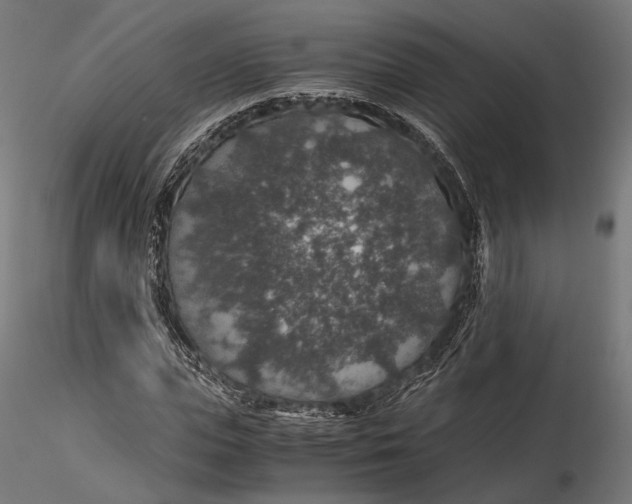 X0000116000823200912101315