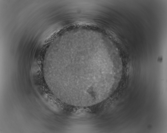 X0000116000824200912101315