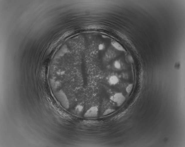 X0000116000825200912101315