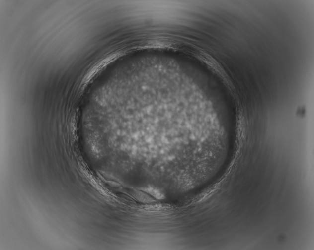 X0000116000826200912101315