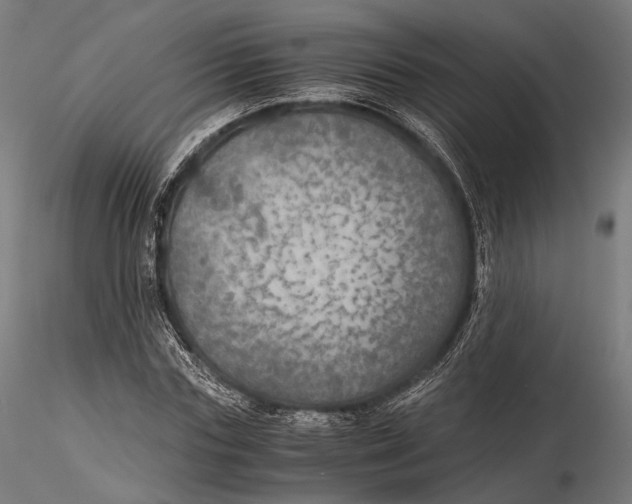 X0000116000827200912101315