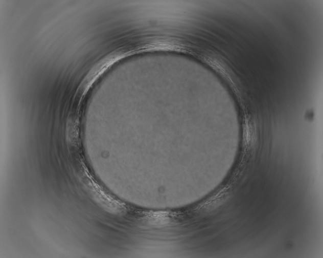 X0000116000828200912101315