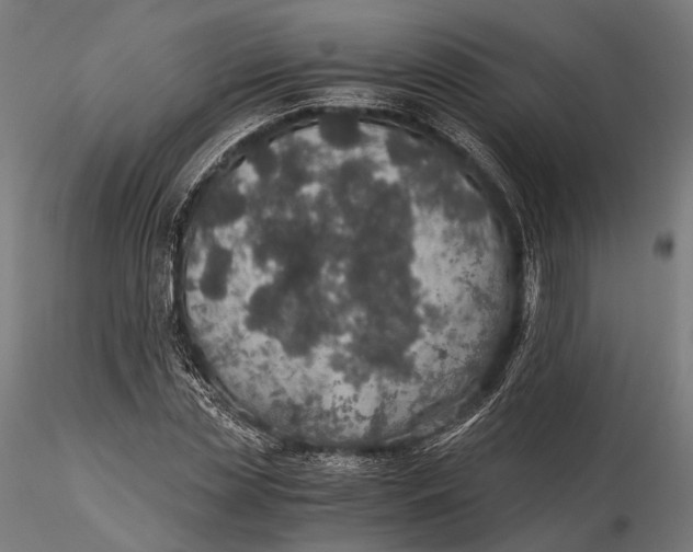 X0000116000829200912101315