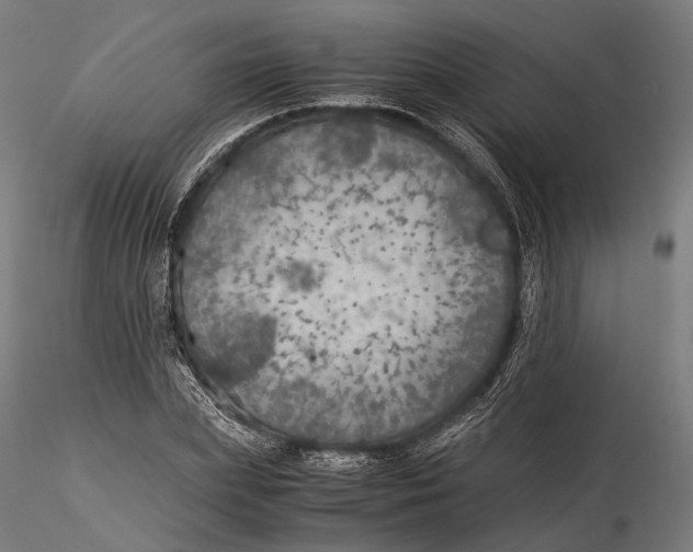 X0000116000831200912101315