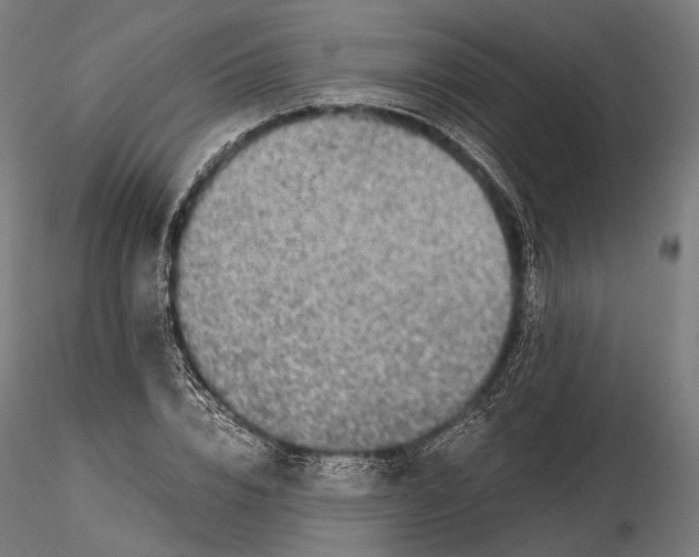 X0000116000832200912101315