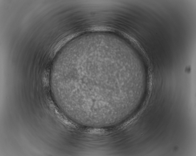 X0000116000833200912101315