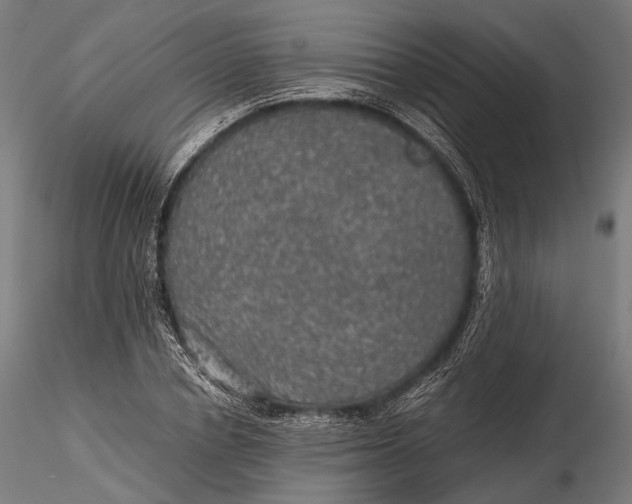 X0000116000834200912101315