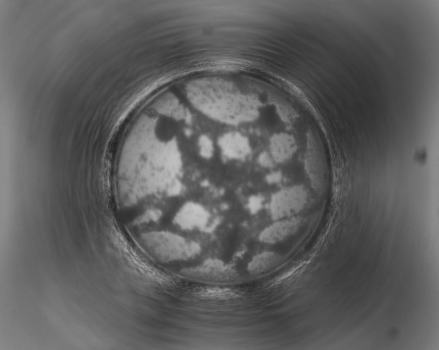 X0000116000835200912101315