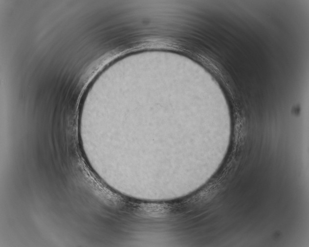 X0000116000836200912101315