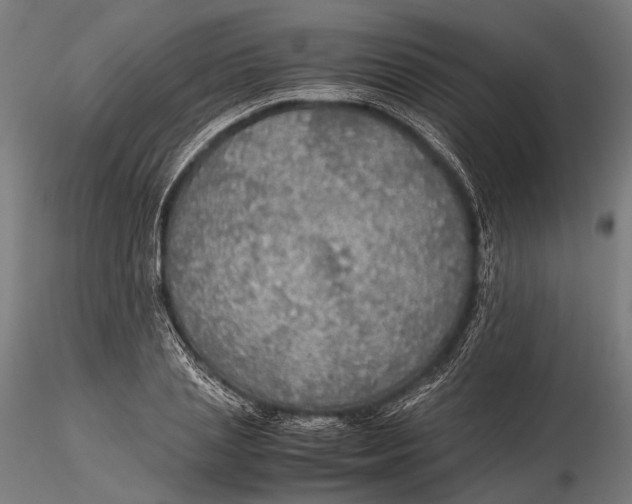 X0000116000837200912101315