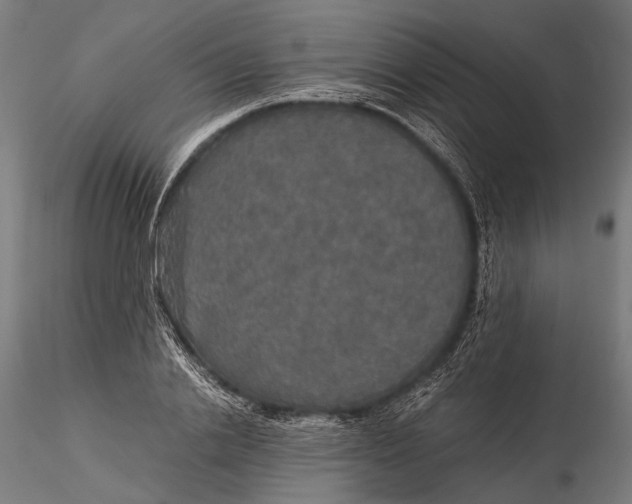 X0000116000838200912101315