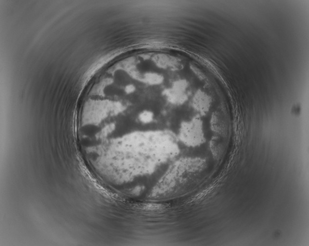 X0000116000839200912101315