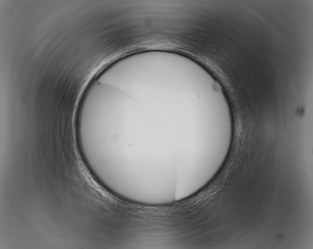 X0000116000840200912101315