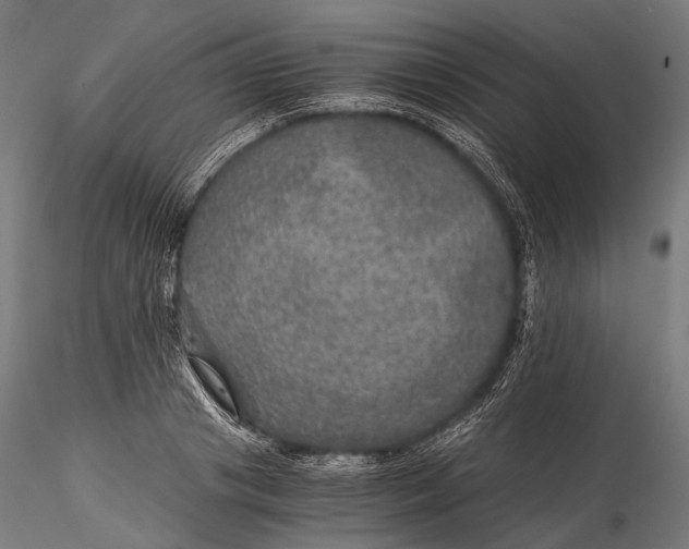 X0000116000841200912101315