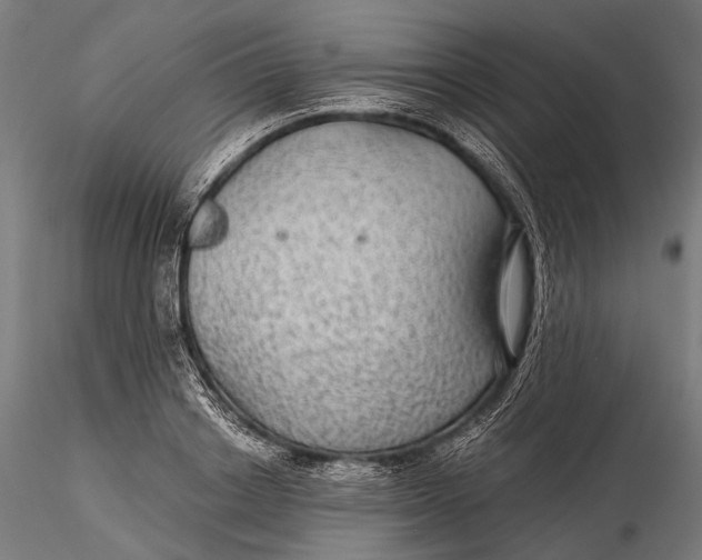 X0000116000842200912101315