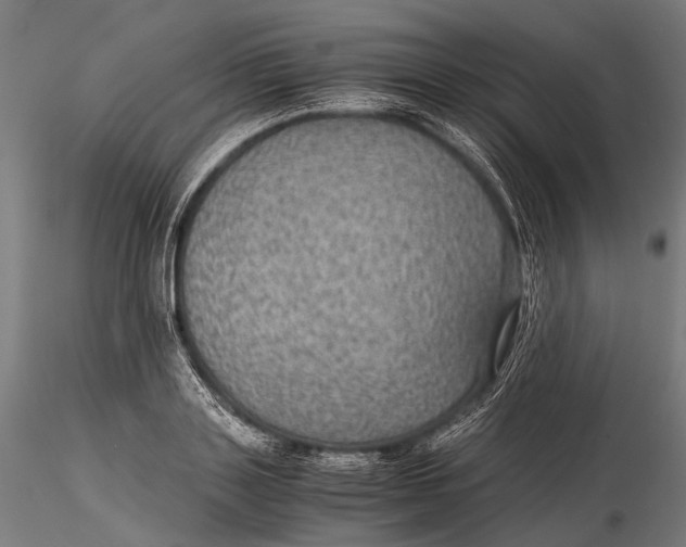 X0000116000843200912101315