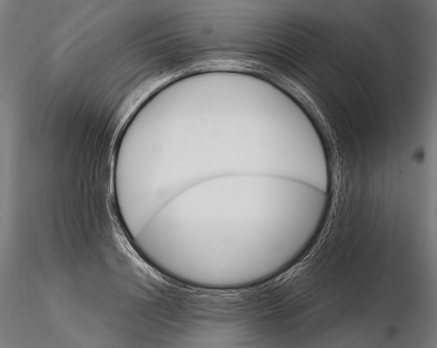 X0000116000844200912101315