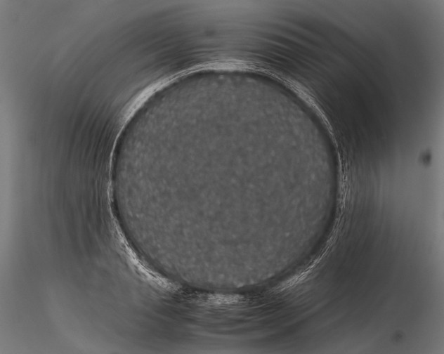 X0000116000845200912101315