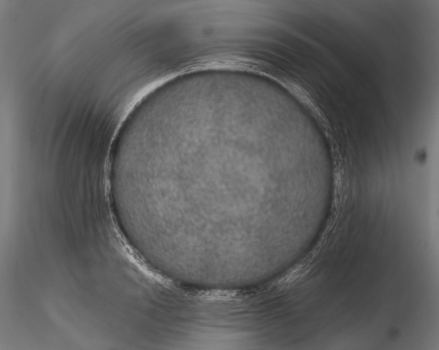 X0000116000846200912101315