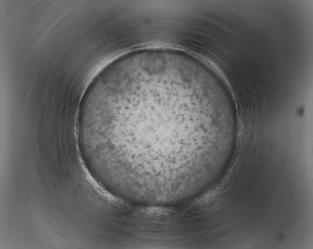 X0000116000847200912101315