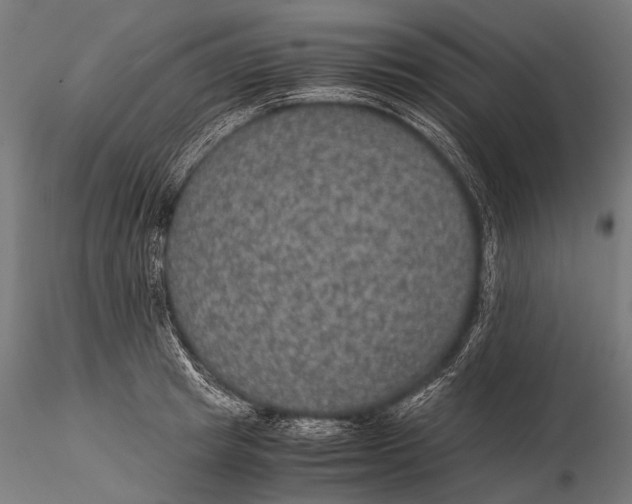 X0000116000849200912101315