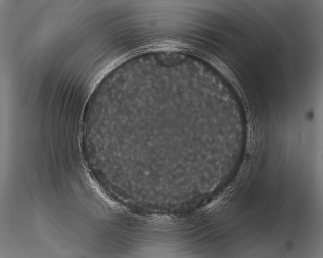 X0000116000850200912101315