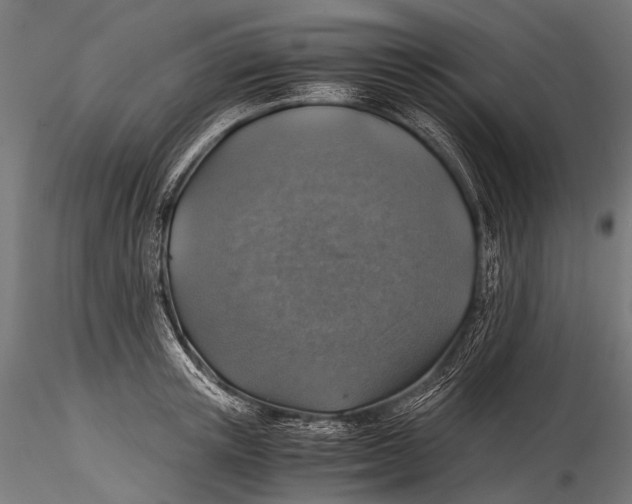 X0000116000851200912101315