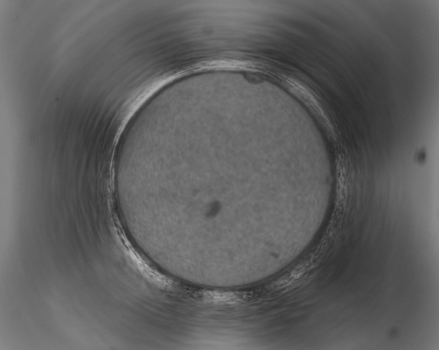 X0000116000852200912101315