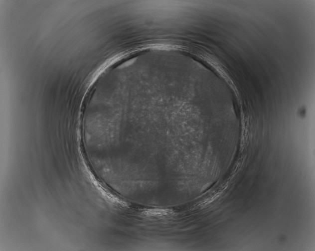 X0000116000853200912101315