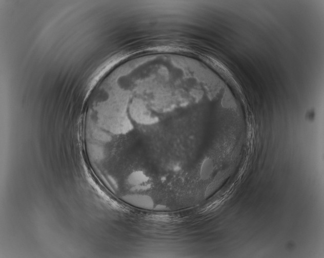 X0000116000855200912101315