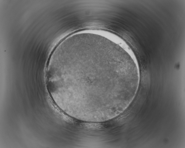 X0000116000856200912101315