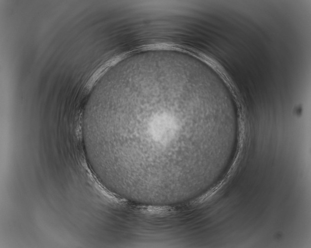 X0000116000857200912101315