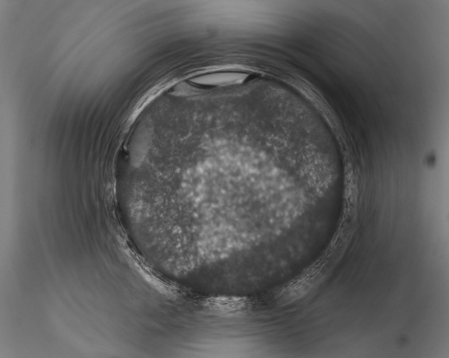 X0000116000858200912101315