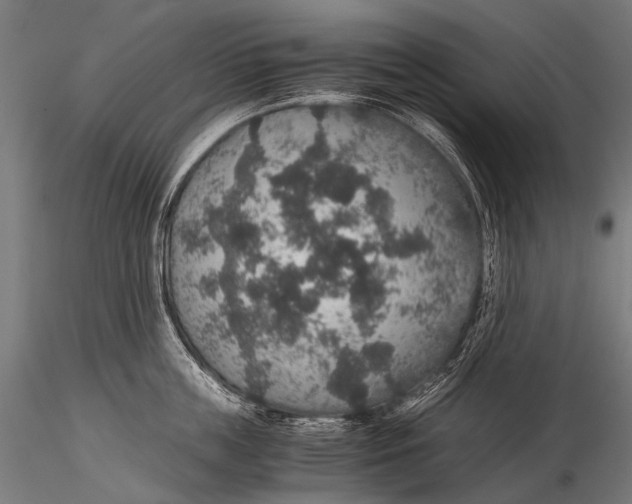 X0000116000859200912101315