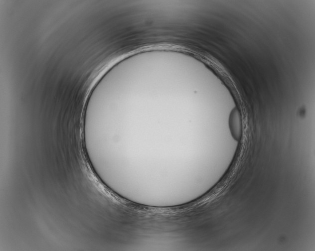 X0000116000860200912101315