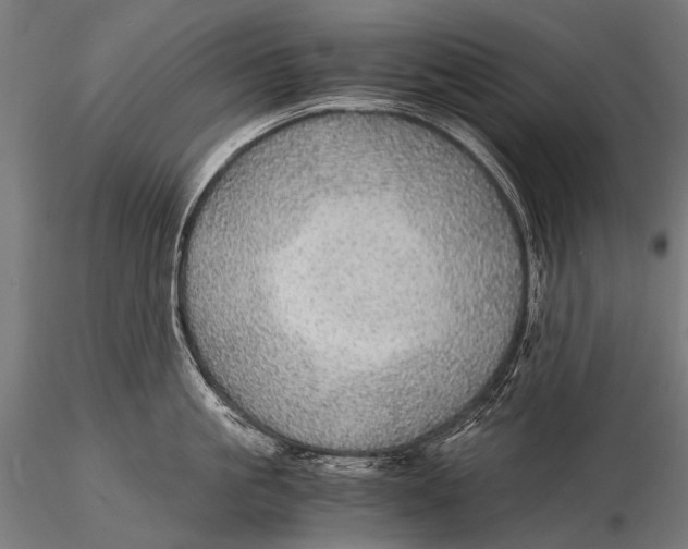 X0000116000861200912101315